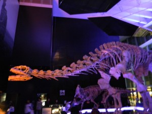 DSCN0580